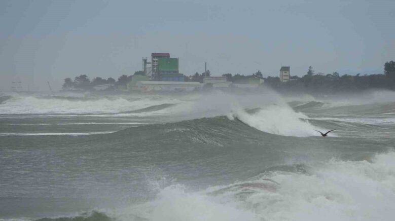 karadeniz hircinlasti qh1jVZBT