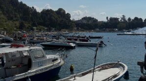 karadenizde bu yil hamsi beklentisi buyuk ClyIUJV2