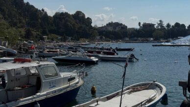 karadenizde bu yil hamsi beklentisi buyuk ClyIUJV2