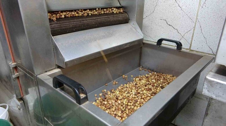 karadenizde findik hasadi tamamlandi uretici kirma ve kavurma isini artik isletmelere birakiyor QFEHbakM