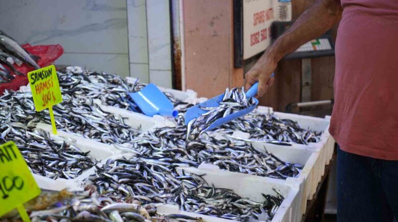 karadenizin incisi hamsi tezgahlarda ne alirsan 100 tl ScH6arB1