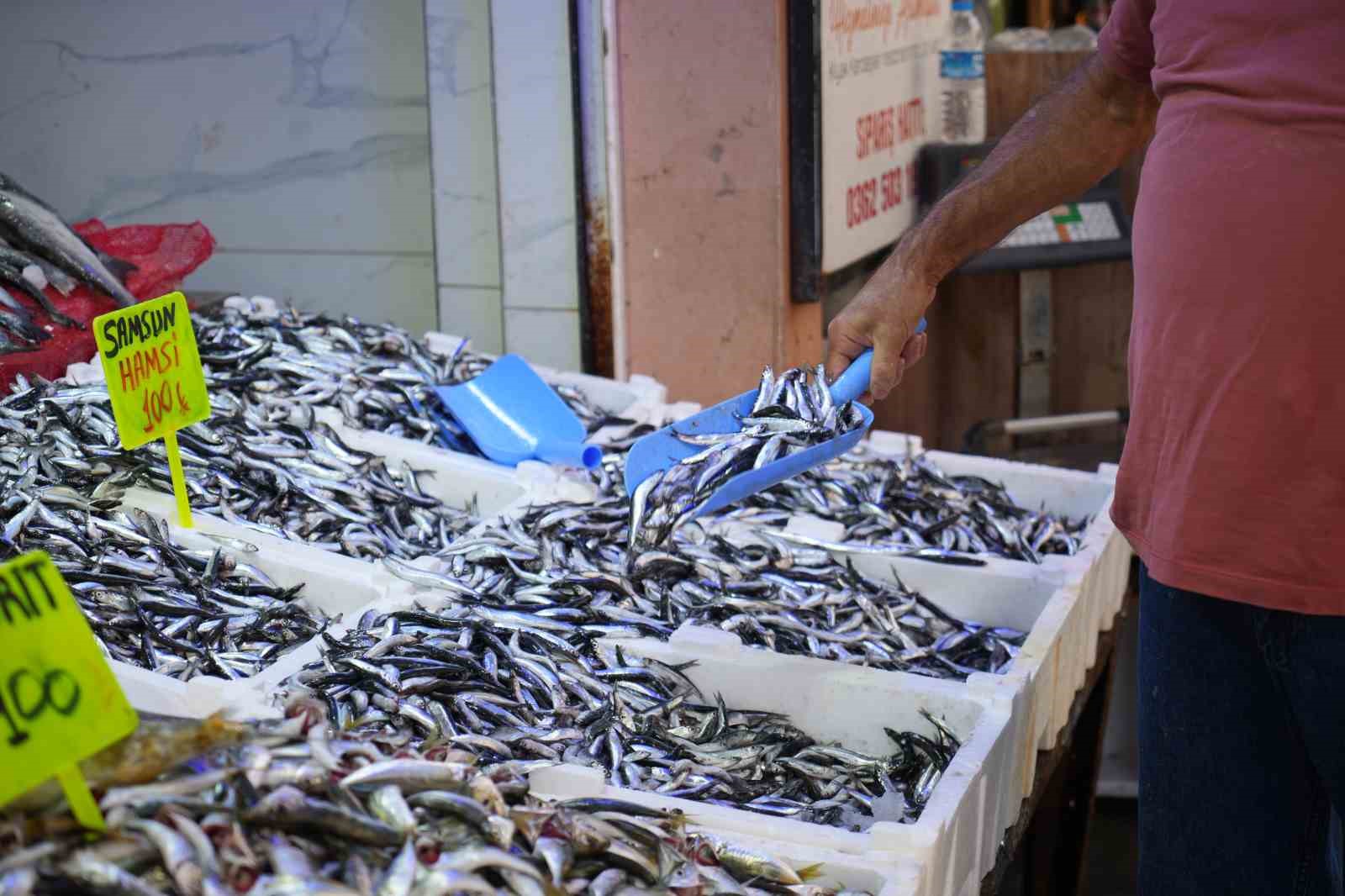 karadenizin incisi hamsi tezgahlarda ne alirsan 100 tl ScH6arB1
