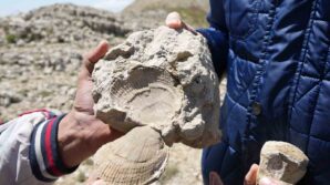 kastamonu cankiri sinirindaki 2 bin 587 rakimli dagin zirvesinde deniz fosilleri bulundu aCyDnegL