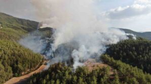 kastamonu karabuk sinirinda ikinci orman yangini havadan ve karadan mudahale ediliyor HtqX8C8G