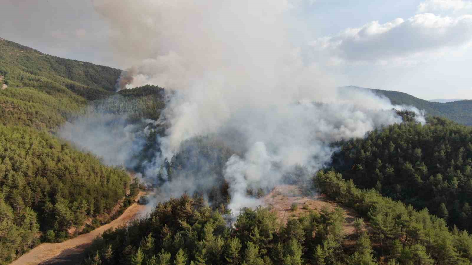kastamonu karabuk sinirinda ikinci orman yangini havadan ve karadan mudahale ediliyor HtqX8C8G