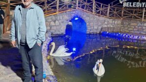 kastamonuda incir agacinda dusen vatandas hayatini kaybetti Ix5gbME5