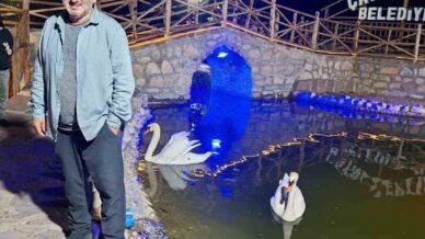 kastamonuda incir agacinda dusen vatandas hayatini kaybetti Ix5gbME5