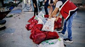 kastamonuda kacak avlanan 142 kalkan baligina el konuldu NQFlWjfF