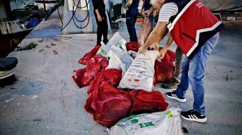 kastamonuda kacak avlanan 142 kalkan baligina el konuldu NQFlWjfF