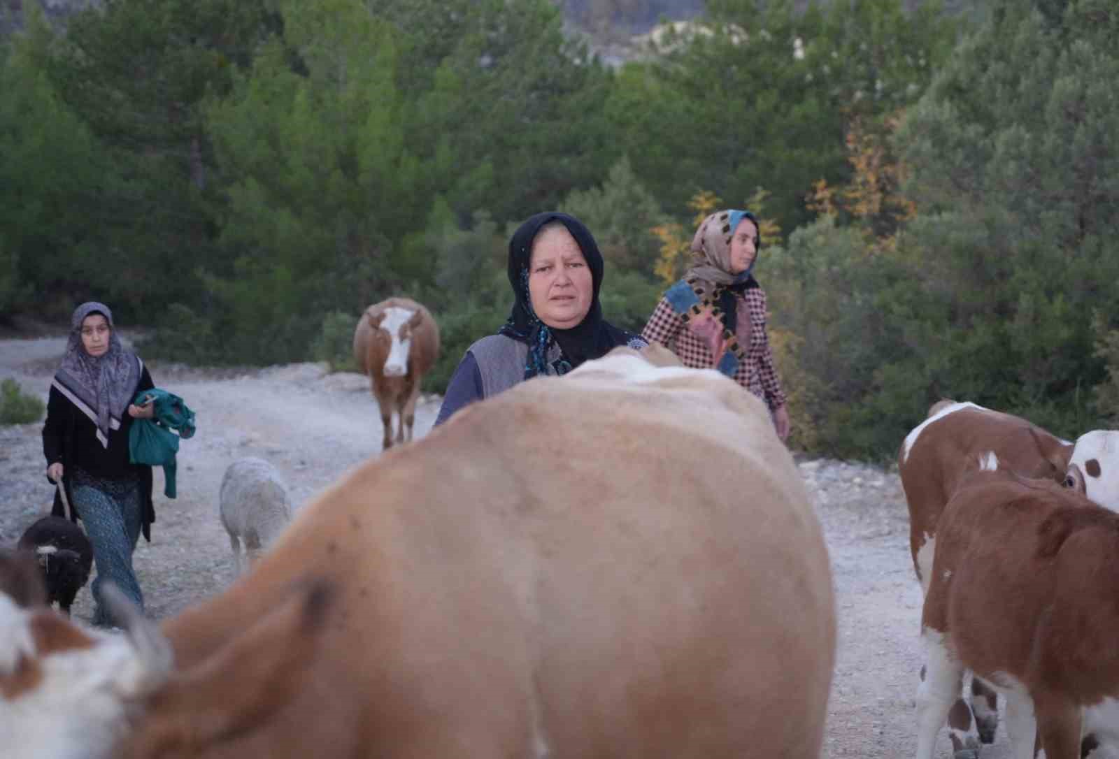 kastamonuda orman yangini kontrol altina alindi vatandaslar koylerine kavustu 8JeetZEJ