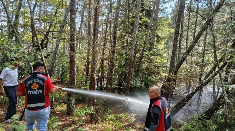 kastamonuda ormanlik alanda cikan yangin ekiplerin mudahalesiyle sonduruldu fvyDban3