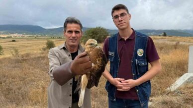 kastamonuda yarali halde bulunan sahin tedavi altina alindi 4jPg8zZC