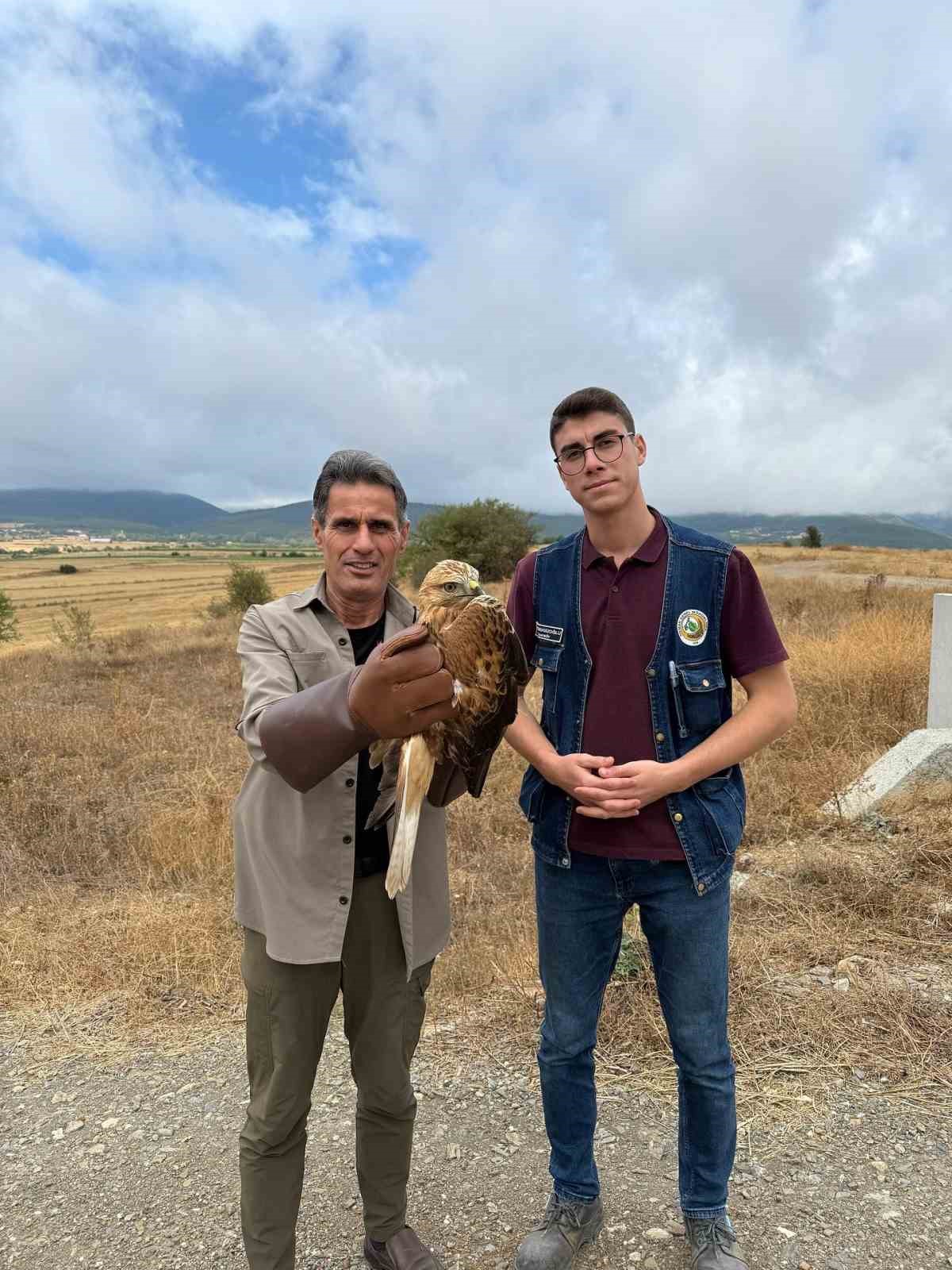 kastamonuda yarali halde bulunan sahin tedavi altina alindi 4jPg8zZC
