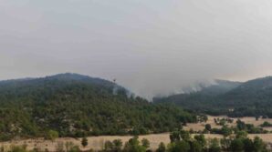 kastamonudaki orman yanginina mudahale boyle goruntulendi 85ECKeNd