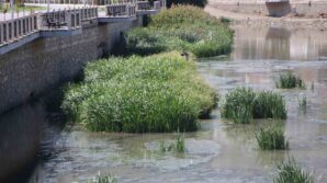 kuraklik yesilirmaki vurdu yagdir mevl m su mGM6tdfZ