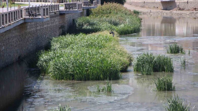 kuraklik yesilirmaki vurdu yagdir mevl m su mGM6tdfZ