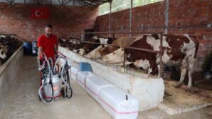 orduda sutun degeri artiyor 6K1pyA4V