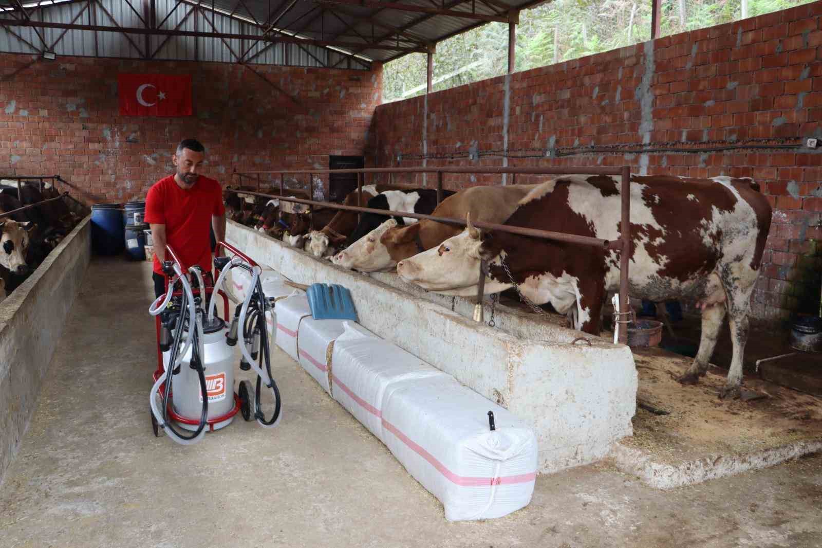 orduda sutun degeri artiyor 6K1pyA4V