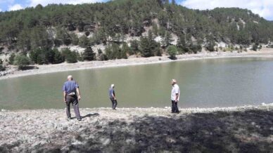 orman yangininda kritik rol oynayan golet can cekisiyor kHRxlOMF