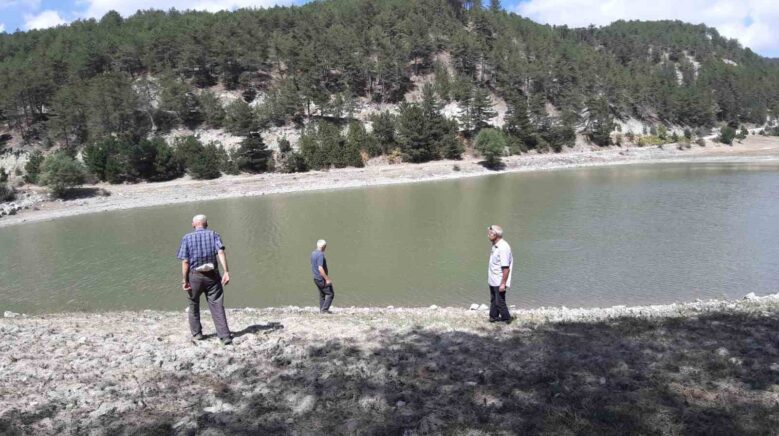 orman yangininda kritik rol oynayan golet can cekisiyor kHRxlOMF