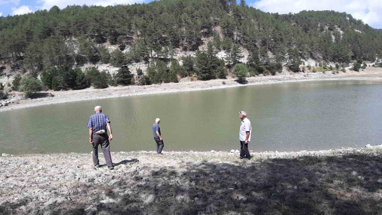 orman yangininda kritik rol oynayan golet can cekisiyor