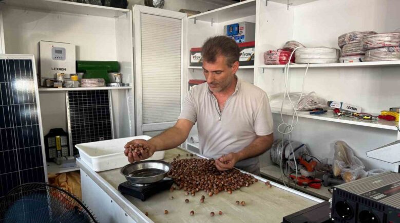 rekolte dusuklugu findik fiyatlarini yukseltti t6Ngdijx