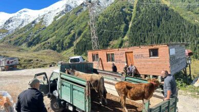 rizede yaylalardan donus erken basladi edmCNTWG