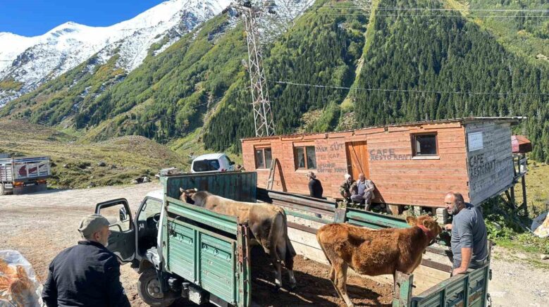 rizede yaylalardan donus erken basladi edmCNTWG