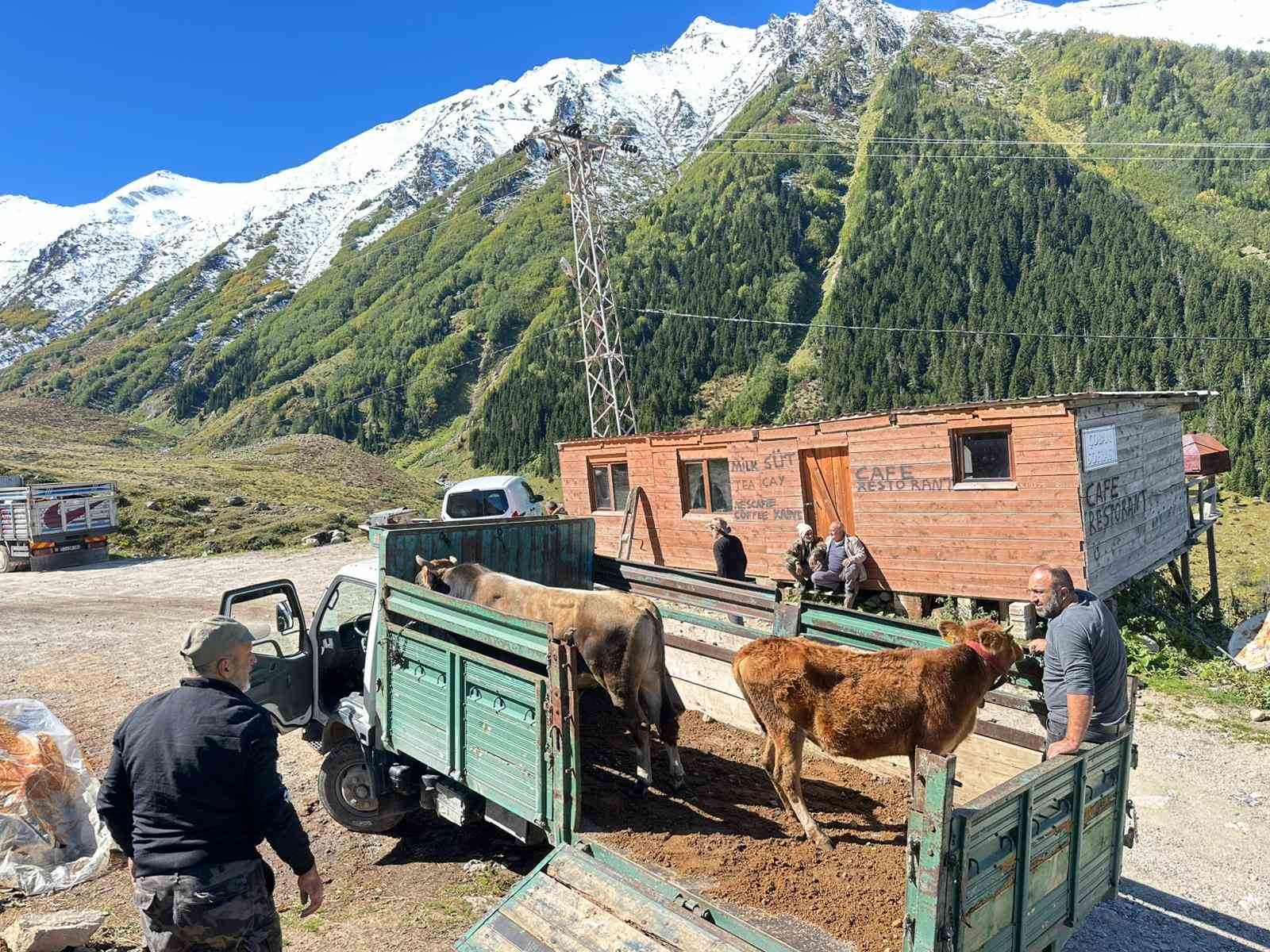 rizede yaylalardan donus erken basladi edmCNTWG