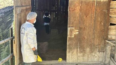 samanlikta olduruldukten sonra cesedi cuvalla dere atilan vatandasla ilgili yargilama devam etti ItWGel2H