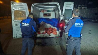 samsunda 5 ton kacak midye ele gecirildi lzXCbNKf