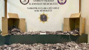 samsunda gardiroba gizlenmis 47 bin 824 uyusturucu hap ele gecirildi neOYpKzJ