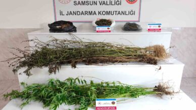 samsunda jandarma 2 kilo 355 gram esrar ele gecirdi 2 gozalti 3fTTNz2N