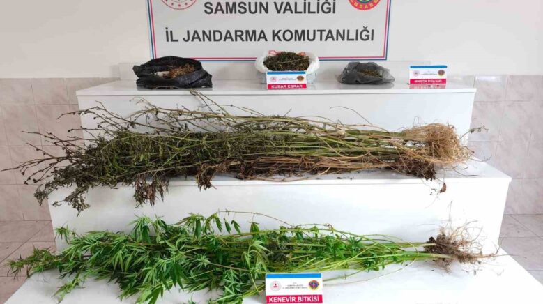 samsunda jandarma 2 kilo 355 gram esrar ele gecirdi 2 gozalti 3fTTNz2N