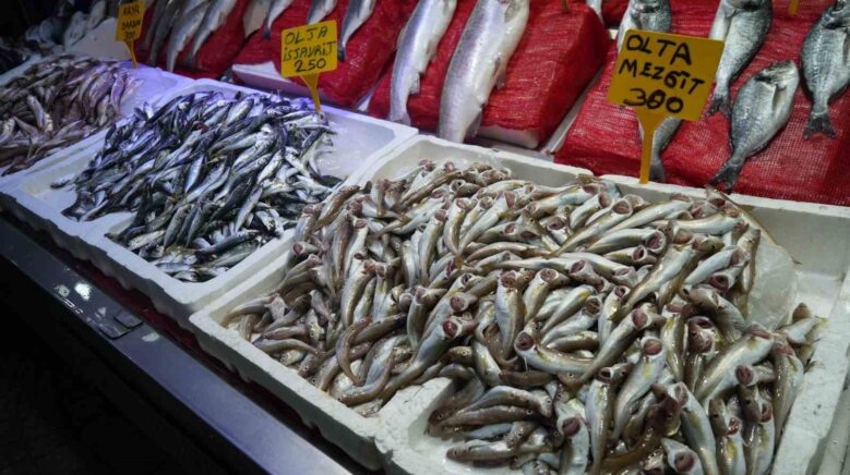 sezonun ilk baliklari tezgahlarda R7cRWHcf