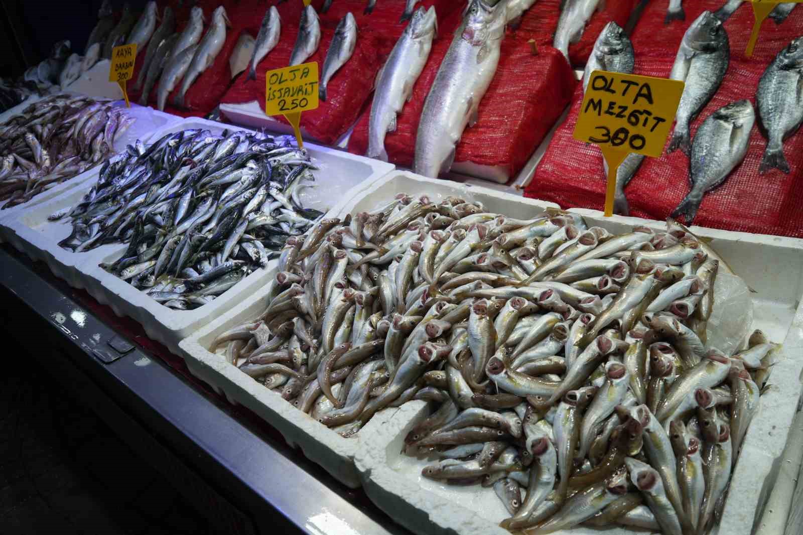 sezonun ilk baliklari tezgahlarda R7cRWHcf