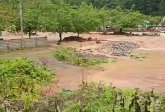 sinir asan sel GnfQhBnx