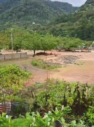 sinir asan sel GnfQhBnx