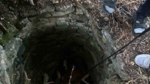 su kuyusuna dusen inek icin seferber oldular j6MOVa3j