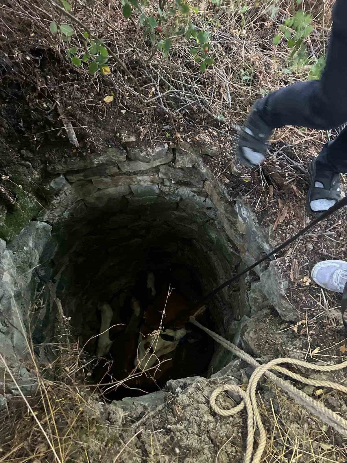 su kuyusuna dusen inek icin seferber oldular j6MOVa3j
