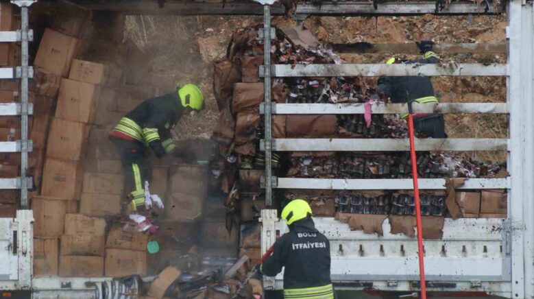 tem otoyolunda kamyon dorsesinde yangin cikti C8LMsM9C