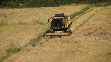 tescilli tosya pirincinin hasadi basladi Mk25PKup