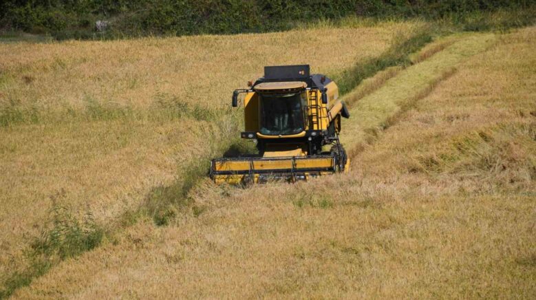 tescilli tosya pirincinin hasadi basladi Mk25PKup