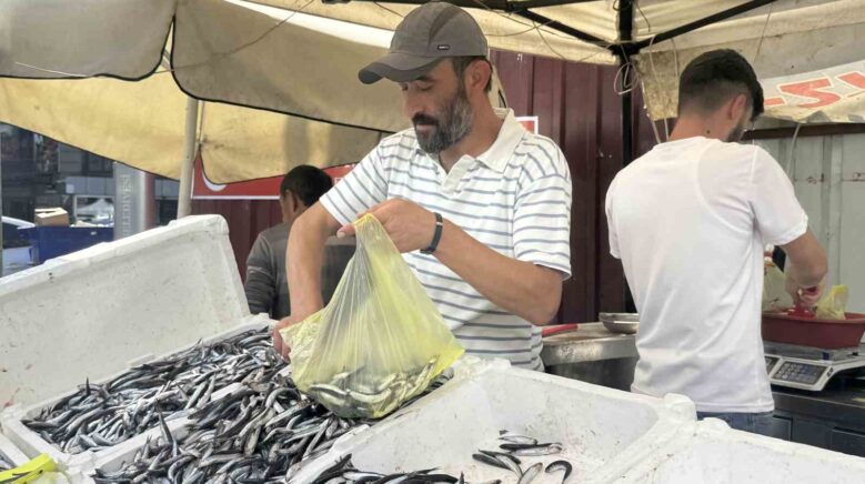 tezgahlarda hamsi bollugu lxqfMOIl