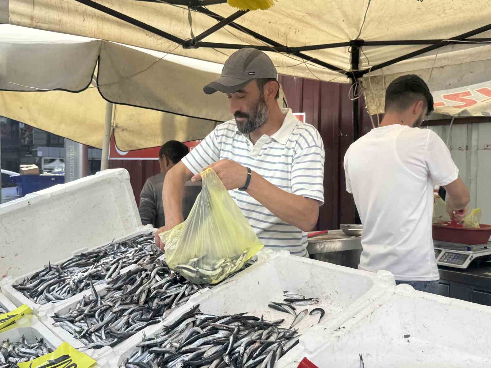 tezgahlarda hamsi bollugu