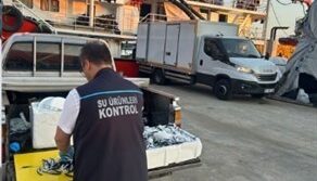 trabzonda usulsuz hamsi cikisina 37 bin tl ceza CBypLEM2