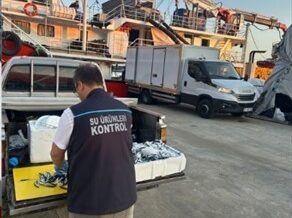 trabzonda usulsuz hamsi cikisina 37 bin tl ceza CBypLEM2