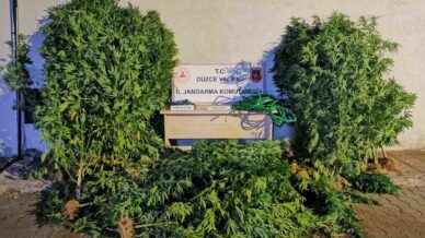 uyusturucudan 6 kisi tutuklandi 44 sahis hakkinda islem yapildi 5bGHcjmD