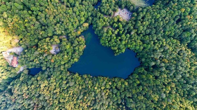 yedigollerde sonbahar cumbusu z6LsRXjq