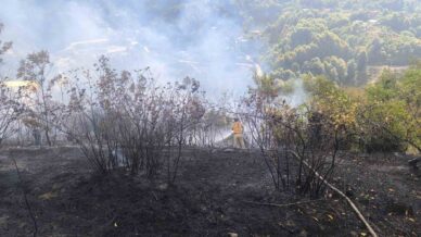 zonguldakta 2 dekarlik alanda ortu yangini 6eklJ2RS